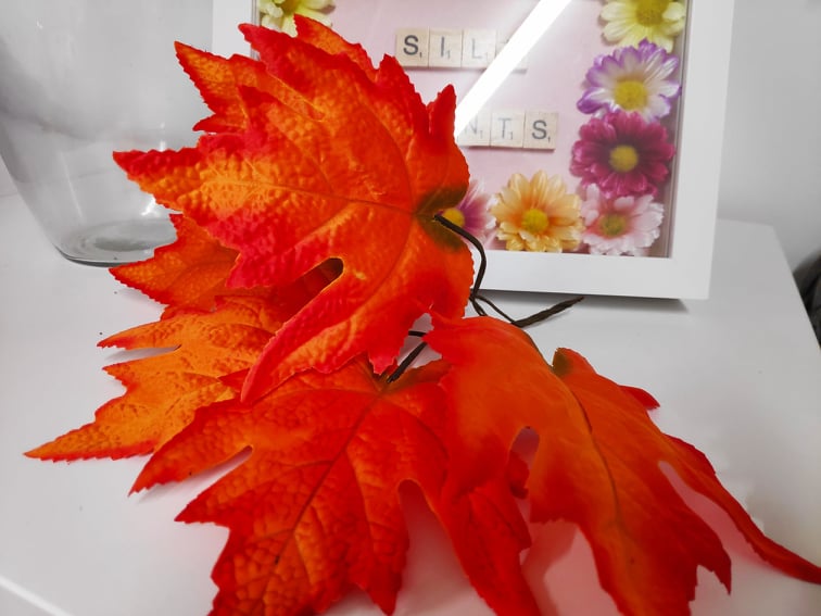 autumn maple leaf filler - Evergreen Silk Plants
