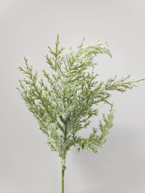 Fern Filler. Pampas - Evergreen Silk Plants