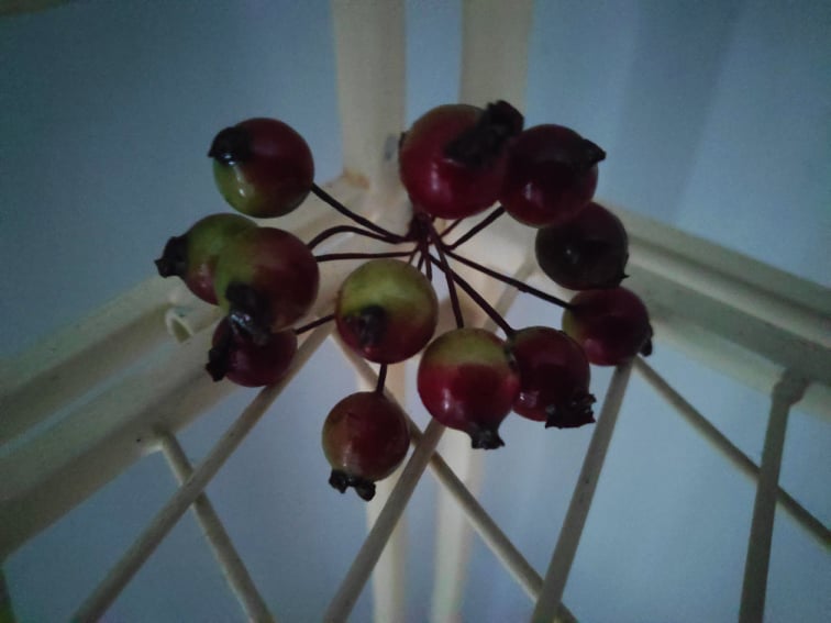 Rowan Berries Filler | Evergreen Silk Plants