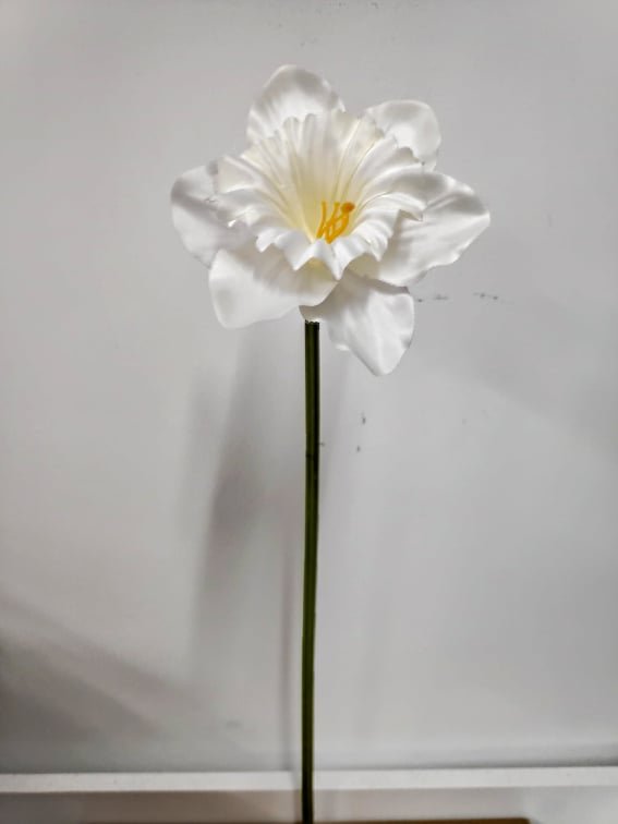 White Daffodil | Evergreen Silk Plants