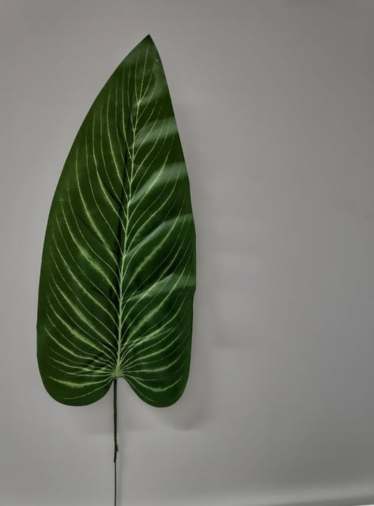 Leaf - Evergreen Silk Plants