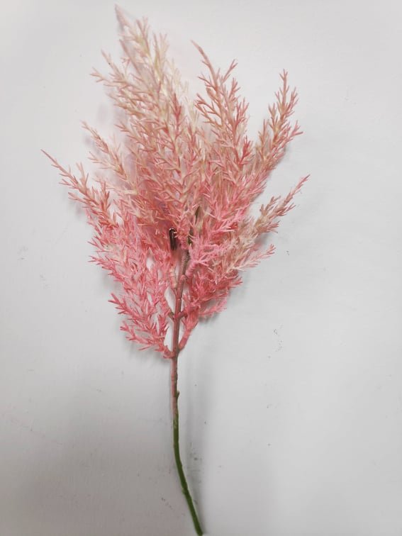 Fern Filler. Pampas - Evergreen Silk Plants
