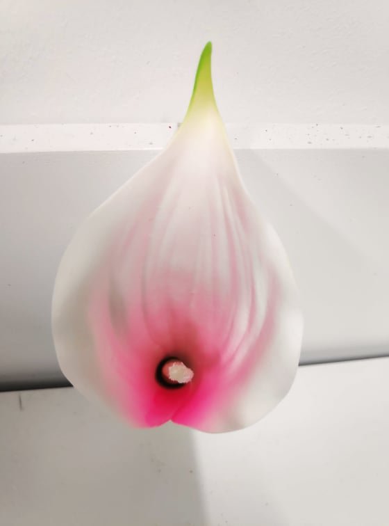 Calla Lily Flowerhead Pink | Evergreen Silk Plants