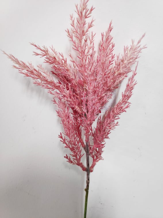 Fern Filler. Pampas - Evergreen Silk Plants