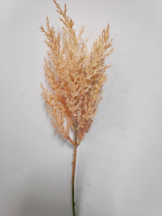 Fern Filler. Pampas - Evergreen Silk Plants