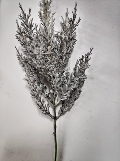 Fern Filler. Pampas - Evergreen Silk Plants