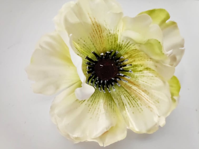 Poppy Flowerhead 11cm | Evergreen Silk Plants