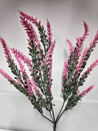 Coloured Lavender Bush | Evergreen Silk Plants