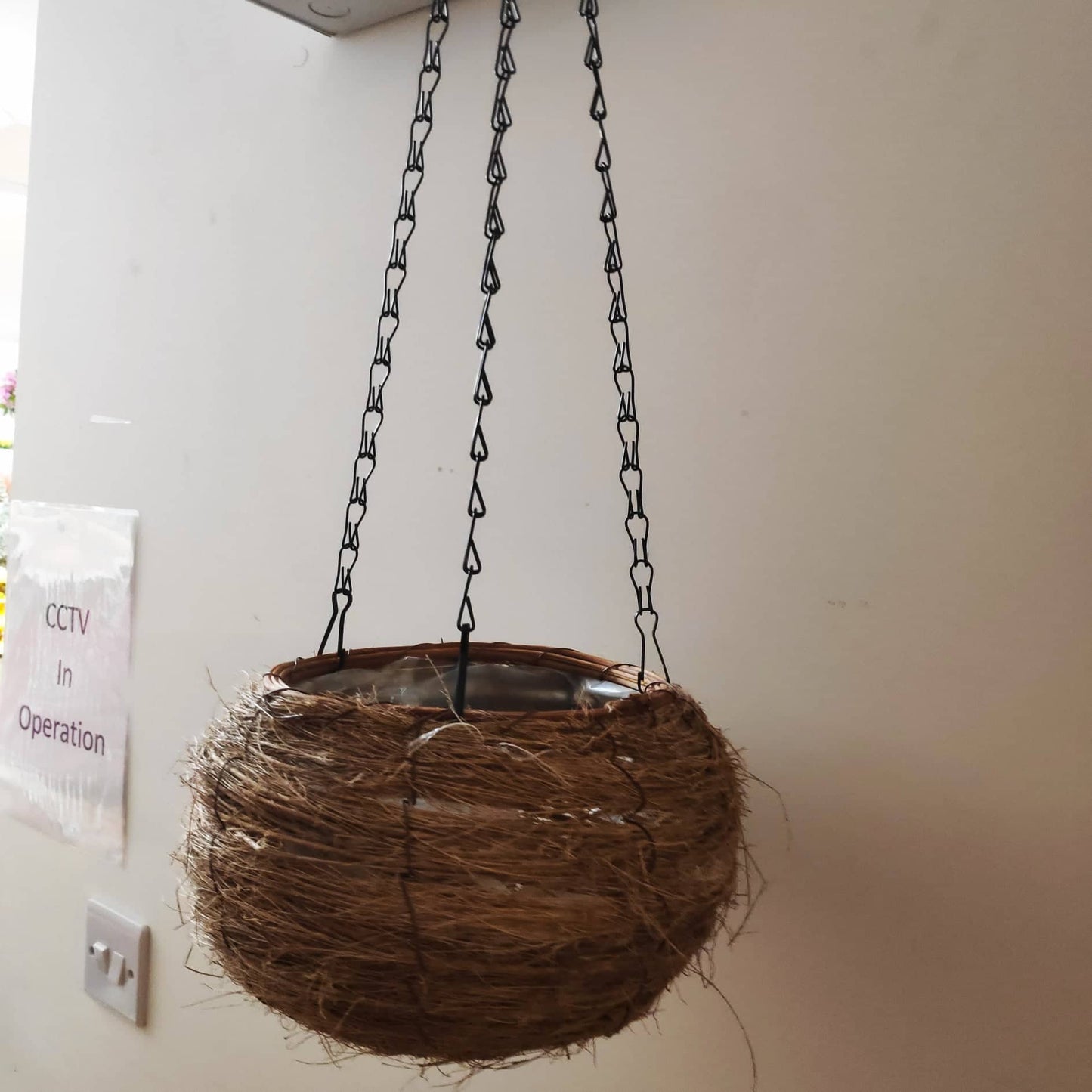 Hanging Basket 001 - Evergreen Silk Plants