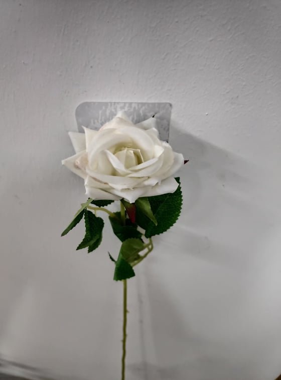 Stemmed Rose Cream 50cm | Evergreen Silk Plants