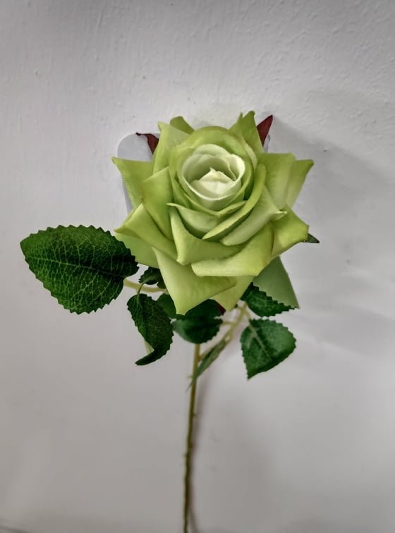 Stemmed Rose Green 50cm - Evergreen Silk Plants