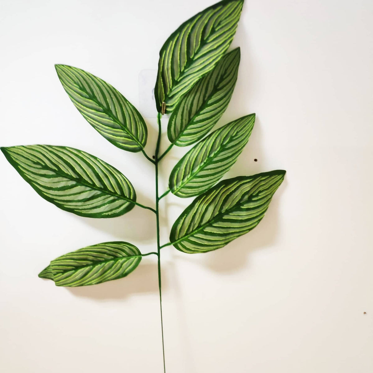 Kratom Leaves | Evergreen Silk Plants