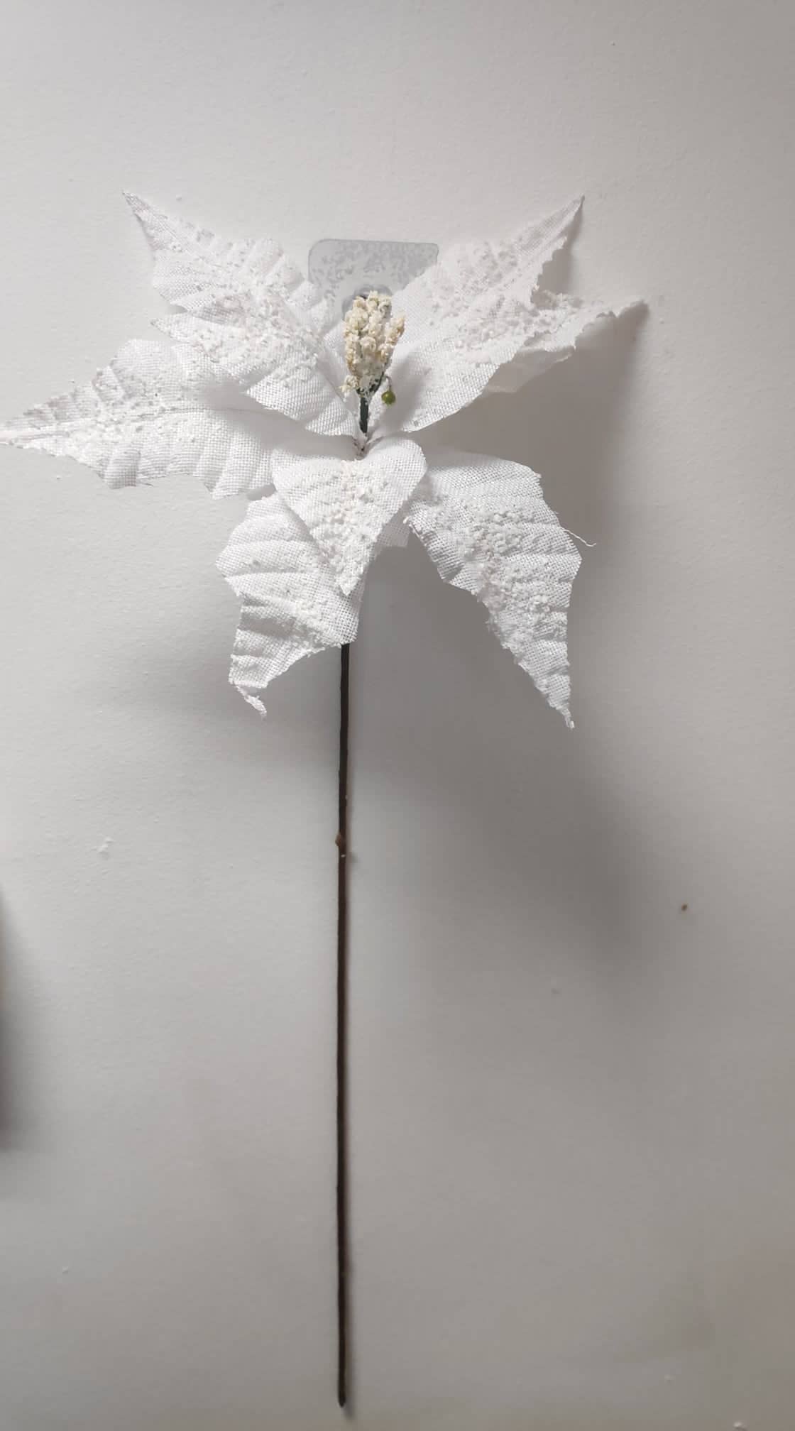 67cm White Poinsettia - Evergreen Silk Plants 67cm White Poinsettia - Artificial 67cm White Poinsettia - Fake 67cm White Poinsettia - plants 67cm White Poinsettia - trees 67cm White Poinsettia - flowers 67cm White Poinsettia - greenery 