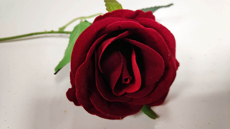 Short Stem Velvet Rose Red | Evergreen Silk Plants
