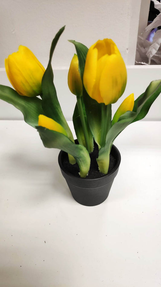 Potted Tulips - Evergreen Silk Plants