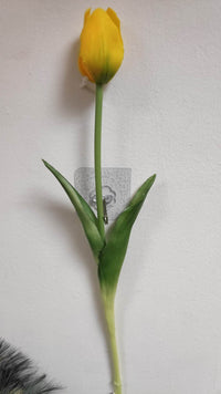 47cm Single Tulip open