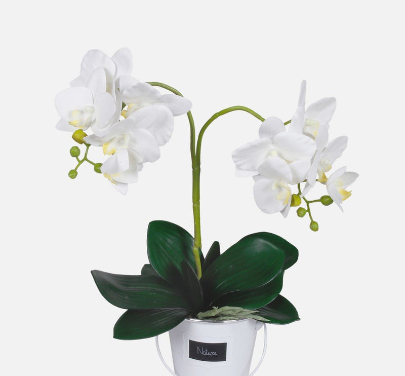 Orchid Sprig High Quality - Evergreen Silk Plants