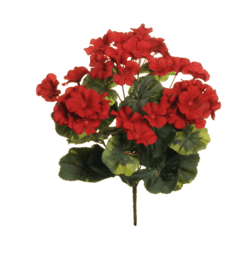 Geranium Bush Red - Evergreen Silk Plants
