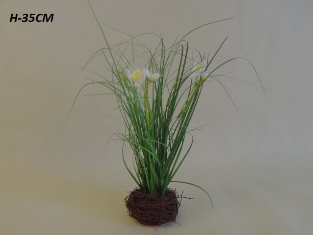 Flowering Grass Plant - Evergreen Silk Plants