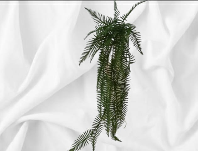 Long Trailing fern 75 | Evergreen Silk Plants