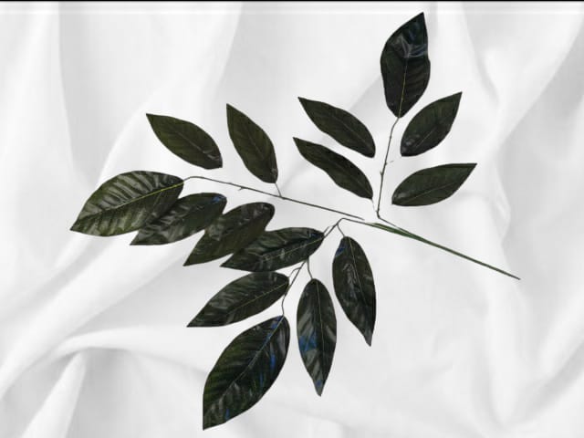 Artificial Foliage Mango Leaf | Evergreen Silk Plants