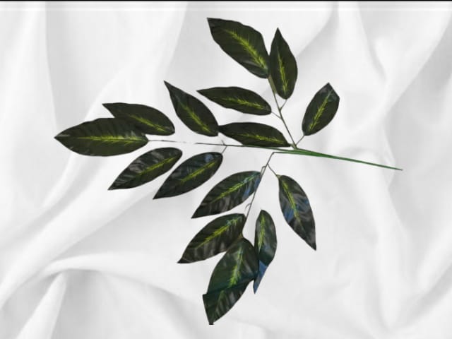 Decorative Leaves Filler | Evergreen Silk Plants