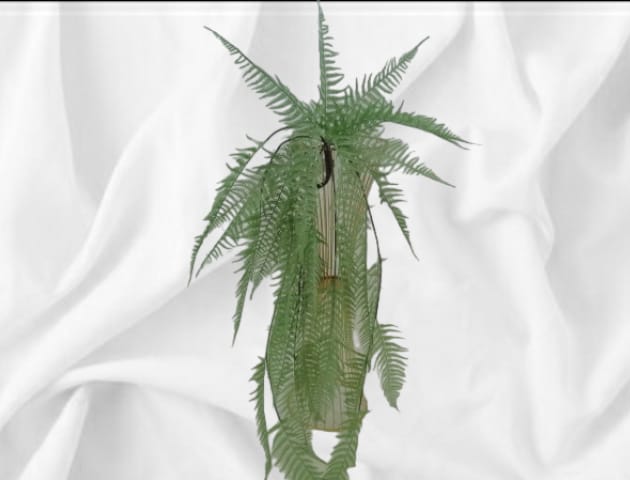 Long Trailing fern 159 - Evergreen Silk Plants