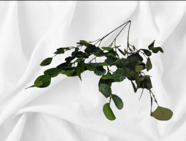 Eucalyptus 85 cm | Evergreen Silk Plants