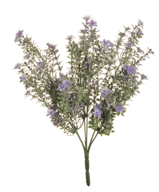 Oregano Bush - Evergreen Silk Plants