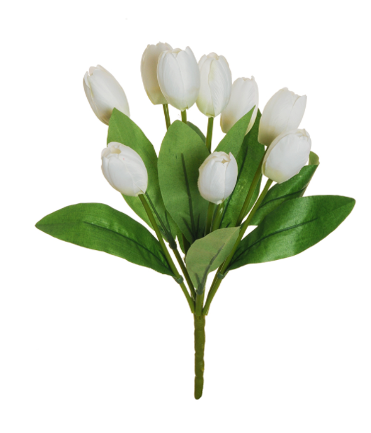 Tulip Bush White - Evergreen Silk Plants