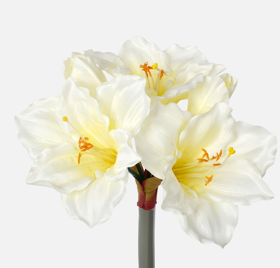 Amaryllis Sprig - Evergreen Silk Plants