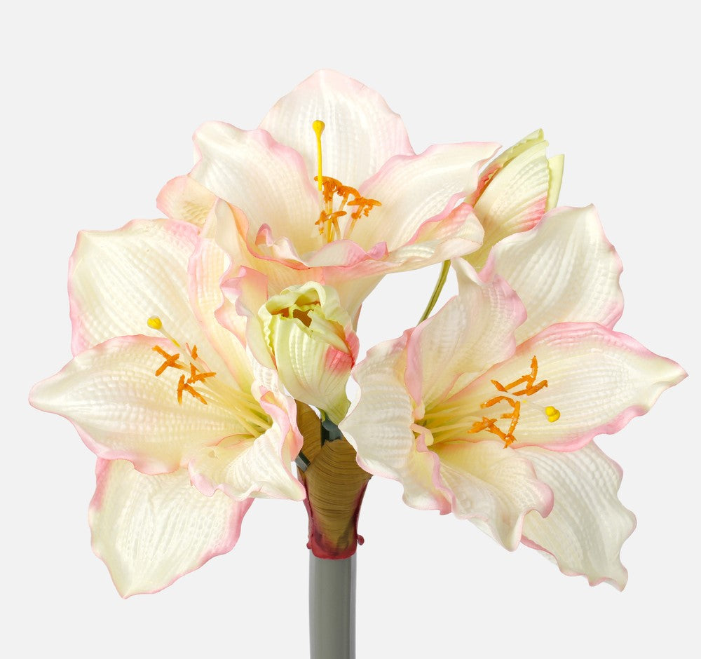 Amaryllis Sprig - Evergreen Silk Plants