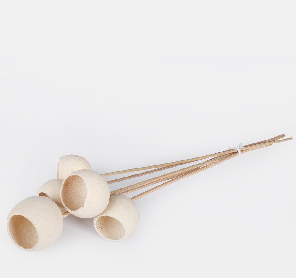 Bleached Bell Cups | Evergreen Silk Plants