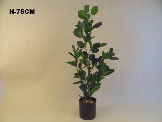 75cm Pot Plant - Evergreen Silk Plants