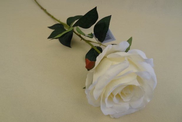 72cm Cream Rose - Evergreen Silk Plants 72cm Cream Rose - Artificial 72cm Cream Rose - Fake 72cm Cream Rose - plants 72cm Cream Rose - trees 72cm Cream Rose - flowers 72cm Cream Rose - greenery 