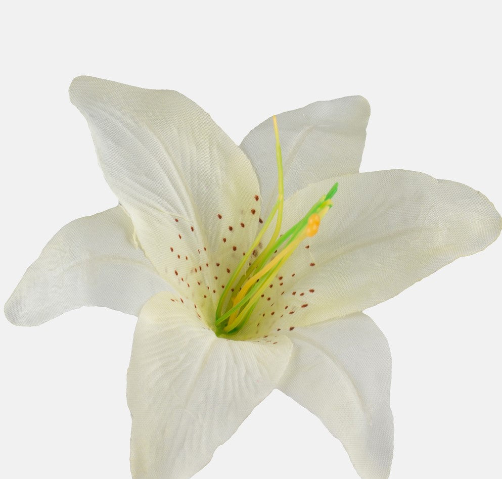 Single Lily Flowerhead - Evergreen Silk Plants