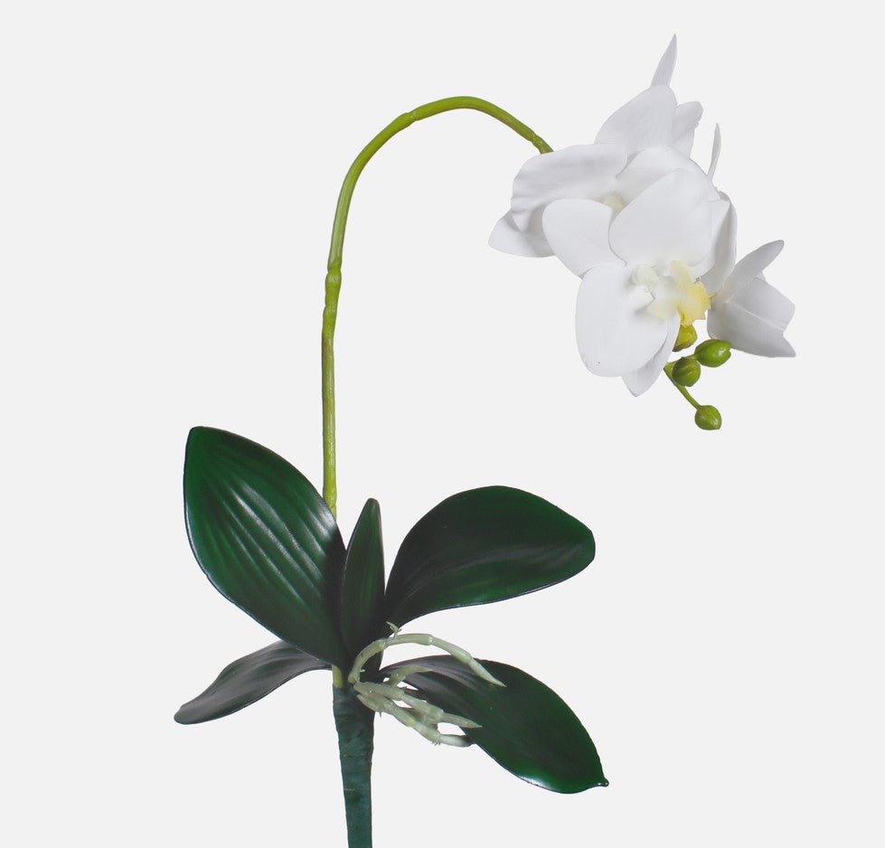 Orchid Sprig High Quality | Evergreen Silk Plants